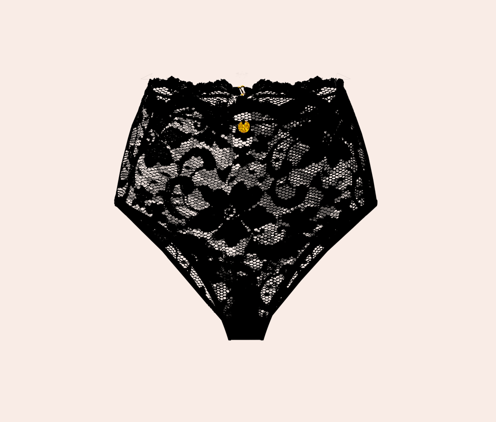 black lacy full briefs sheer soft knickers